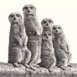 Meet your Posher, Gina